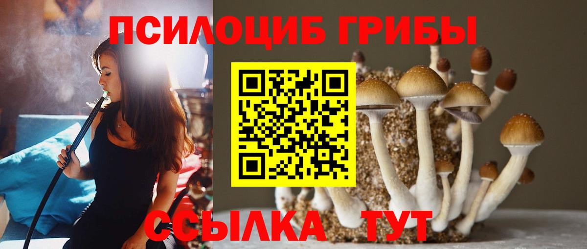Лениногорск  Галлюциногенные грибы MAGIC MUSHROOMS  Галлюциногенные грибы Psilocybine cubensis  Вход с VPN 